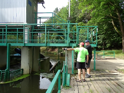 2024-07-13 - Kolonowskie