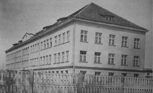 1950-1959