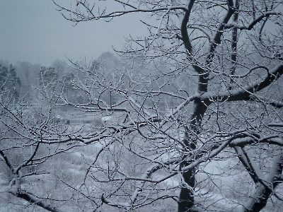 2003-12-09 - Zawadzkie