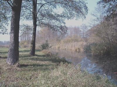 2003-12-14 - Zawadzkie