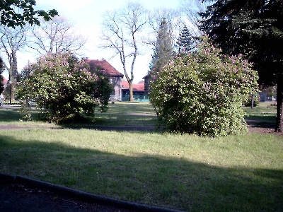 2005-05-13-park miejski