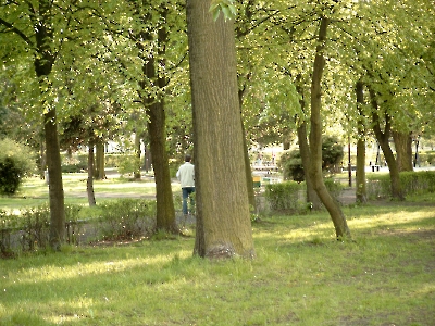 2005-05-13-park miejski