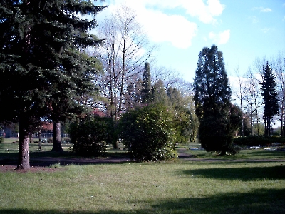 2005-05-13-park miejski