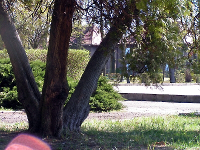 2007-04-14 - Park miejski