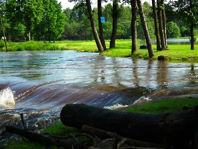2013-06-13 - Żędowice