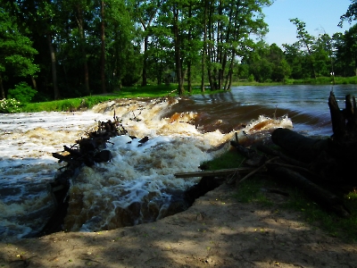 2013-06-13 - Żędowice