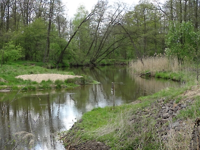 2023-05-03 - Żędowice