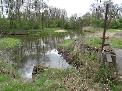 2023-05-03 - Żędowice
