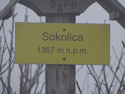 Sokolica - 1367m n.p.m.
