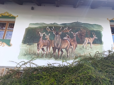 Krizovy Vrch_91