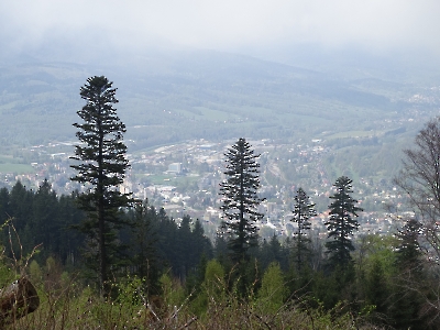 Zlaty Chlum_75