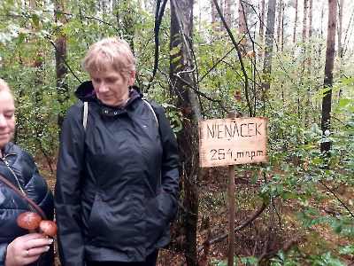 Nienacek 2024