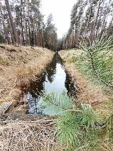 Rajd Brata Pawła 2025_60