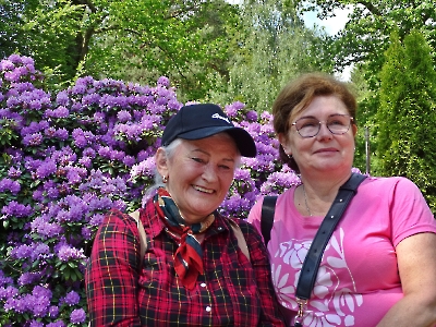 Rododendron 2025_54