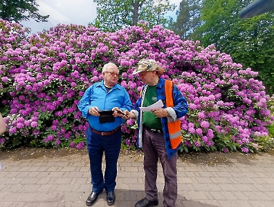 Rododendron 2025_62