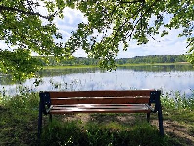 Rajd Znienacka - Lisowice_4