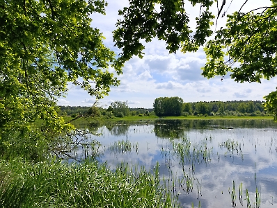 Rajd Znienacka - Lisowice_5