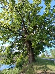 Rajd Znienacka - Lisowice_6