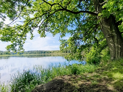 Rajd Znienacka - Lisowice_7