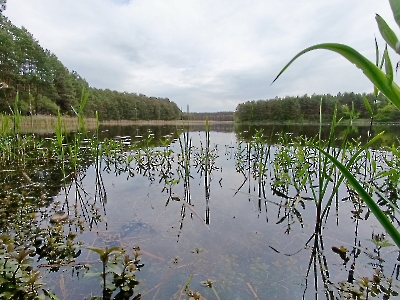 Regolowiec 2025_28