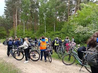 Regolowiec 2025_35