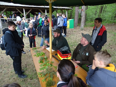 Regolowiec 2025_77