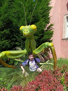 Szklarska Poręba 2025_27