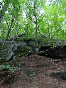 Szklarska Poręba 2025_464