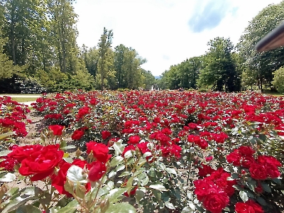 Szklarska Poręba 2025_6