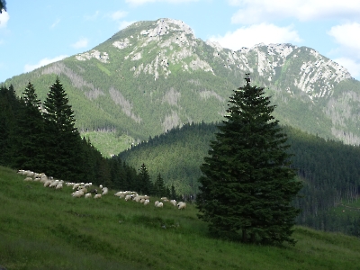 Zakopane 2023_53