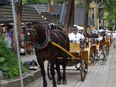 Zakopane 2023
