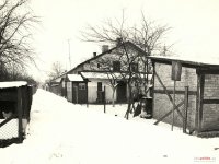 Ulica Zielona - 1981 r.