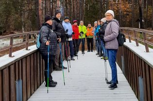 Mostek na Małej Panwi
