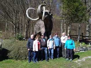 Mamut
