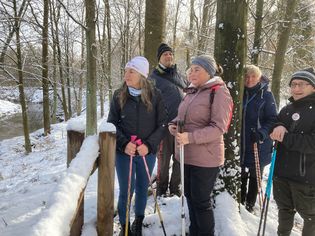 Taras widokowy przy Małej Panwi
