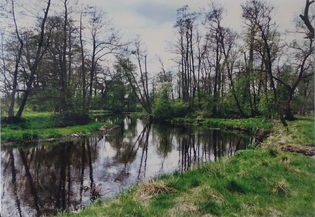 IV miejsce - kategoria senior - Piotr Świtała