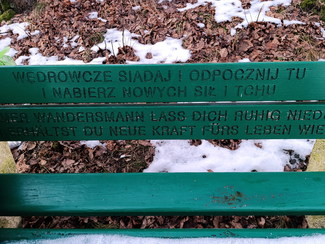 Przed kapliczką na ul. Ziaji